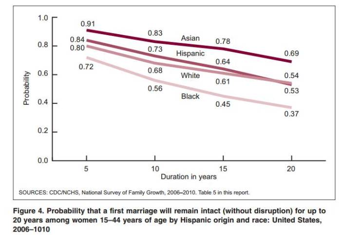 Probability that Marriage will remain intact for 20 years by ethnic group
